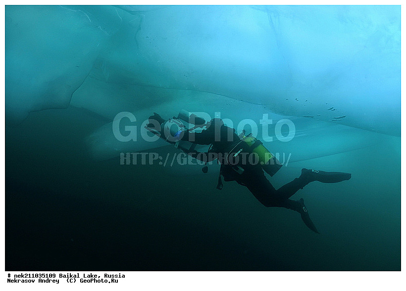Didier, ICE diving, Noirot, ice-diving, icediving, ������, �������, �������, �����������, �����������, �����������, �����, �����, ��������� ���, ������, �������, ������, ���������, ���������, ���������, ������, ��������, �����������, �����, �����, �����, �����-��������, �����������, ����, ������, ������, ������, �����, �������, ����, ������, ����, ���, �������, ����������, ����������, ������, �������, �������, �������, �������, ����, ��, ������, ������, �����, ��������, ��������, ��, ���, ���������, ���������, ���������, ���������, ��������, ���������, ���������, ��������� ��������, ���������, ���������, �������, ������������, ������������, ������������, �������, �������, �����������, �����������, �����, ������, ��������, ��������, ��������, ������, �����, ����, �������, �������, �����, �����, ������, ������, ����������, �������, �������������, ���������, ��������� ���, ������ ������, ������, �������, ������, ���������������������, ����������, ����������, �������, �����������, ����, �����, ���������, �����, �������, ��������, ����������, ���������, ���������, �������, ���������� ���������, ������, ������, ���, ����, ������, �����, ������, ����� ������, ������ �����, ����������� ����, ���� ������, ����� ����, ����, ��������� ������, ��������� ����, ������� �����