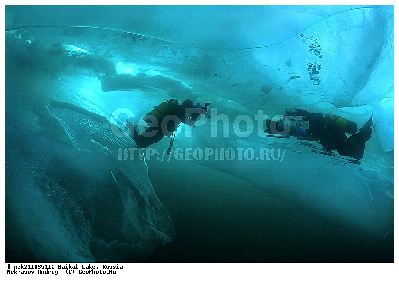 Didier, ICE diving, Noirot, ice-diving, icediving, ������, �������, �������, �����������, �����������, �����������, �����, �����, ��������� ���, ������, �������, ������, ���������, ���������, ���������, ������, ��������, �����������, �����, �����, �����, �����-��������, �����������, ����, ������, ������, ������, �����, �������, ����, ������, ����, ���, �������, ����������, ����������, ������, �������, �������, �������, �������, ����, ��, ������, ������, �����, ��������, ��������, ��, ���, ���������, ���������, ���������, ���������, ��������, ���������, ���������, ��������� ��������, ���������, ���������, �������, ������������, ������������, ������������, �������, �������, �����������, �����������, �����, ������, ��������, ��������, ��������, ������, �����, ����, �������, �������, �����, �����, ������, ������, ����������, �������, �������������, ���������, ��������� ���, ������ ������, ������, �������, ������, ���������������������, ����������, ����������, �������, �����������, ����, �����, ���������, �����, �������, ��������, ����������, ���������, ���������, �������, ���������� ���������, ������, ������, ���, ����, ������, �����, ������, ����� ������, ������ �����, ����������� ����, ���� ������, ����� ����, ����, ��������� ������, ��������� ����, ������� �����