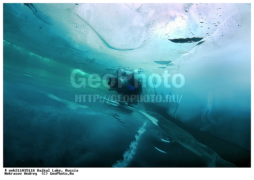 Didier, ICE diving, Noirot, ice-diving, icediving, ������, �������, �������, �����������, �����������, �����������, �����, �����, ��������� ���, ������, �������, ������, ���������, ���������, ���������, ������, ��������, �����������, �����, �����, �����, �����-��������, �����������, ����, ������, ������, ������, �����, �������, ����, ������, ����, ���, �������, ����������, ����������, ������, �������, �������, �������, �������, ����, ��, ������, ������, �����, ��������, ��������, ��, ���, ���������, ���������, ���������, ���������, ��������, ���������, ���������, ��������� ��������, ���������, ���������, �������, ������������, ������������, ������������, �������, �������, �����������, �����������, �����, ������, ��������, ��������, ��������, ������, �����, ����, �������, �������, �����, �����, ������, ������, ����������, �������, �������������, ���������, ��������� ���, ������ ������, ������, �������, ������, ���������������������, ����������, ����������, �������, �����������, ����, �����, ���������, �����, �������, ��������, ����������, ���������, ���������, �������, ���������� ���������, ������, ������, ���, ����, ������, �����, ������, ����� ������, ������ �����, ����������� ����, ���� ������, ����� ����, ����, ��������� ������, ��������� ����, ������� �����