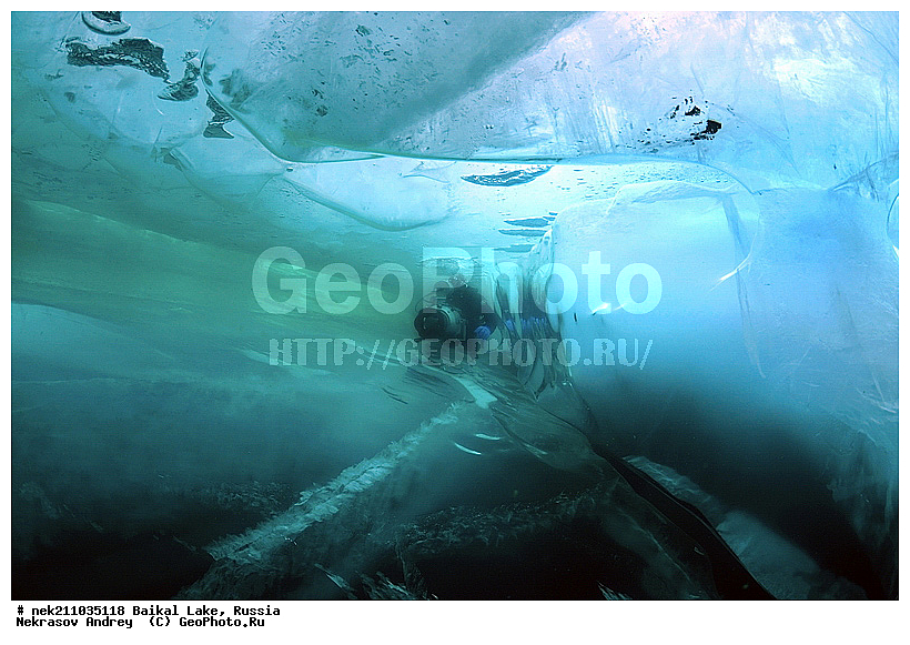 Didier, ICE diving, Noirot, ice-diving, icediving, ������, �������, �������, �����������, �����������, �����������, �����, �����, ��������� ���, ������, �������, ������, ���������, ���������, ���������, ������, ��������, �����������, �����, �����, �����, �����-��������, �����������, ����, ������, ������, ������, �����, �������, ����, ������, ����, ���, �������, ����������, ����������, ������, �������, �������, �������, �������, ����, ��, ������, ������, �����, ��������, ��������, ��, ���, ���������, ���������, ���������, ���������, ��������, ���������, ���������, ��������� ��������, ���������, ���������, �������, ������������, ������������, ������������, �������, �������, �����������, �����������, �����, ������, ��������, ��������, ��������, ������, �����, ����, �������, �������, �����, �����, ������, ������, ����������, �������, �������������, ���������, ��������� ���, ������ ������, ������, �������, ������, ���������������������, ����������, ����������, �������, �����������, ����, �����, ���������, �����, �������, ��������, ����������, ���������, ���������, �������, ���������� ���������, ������, ������, ���, ����, ������, �����, ������, ����� ������, ������ �����, ����������� ����, ���� ������, ����� ����, ����, ��������� ������, ��������� ����, ������� �����