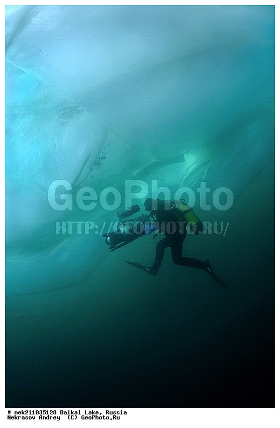 Didier, ICE diving, Noirot, ice-diving, icediving, ������, �������, �������, �����������, �����������, �����������, �����, �����, ��������� ���, ������, �������, ������, ���������, ���������, ���������, ������, ��������, �����������, �����, �����, �����, �����-��������, �����������, ����, ������, ������, ������, �����, �������, ����, ������, ����, ���, �������, ����������, ����������, ������, �������, �������, �������, �������, ����, ��, ������, ������, �����, ��������, ��������, ��, ���, ���������, ���������, ���������, ���������, ��������, ���������, ���������, ��������� ��������, ���������, ���������, �������, ������������, ������������, ������������, �������, �������, �����������, �����������, �����, ������, ��������, ��������, ��������, ������, �����, ����, �������, �������, �����, �����, ������, ������, ����������, �������, �������������, ���������, ��������� ���, ������ ������, ������, �������, ������, ���������������������, ����������, ����������, �������, �����������, ����, �����, ���������, �����, �������, ��������, ����������, ���������, ���������, �������, ���������� ���������, ������, ������, ���, ����, ������, �����, ������, ����� ������, ������ �����, ����������� ����, ���� ������, ����� ����, ����, ��������� ������, ��������� ����, ������� �����