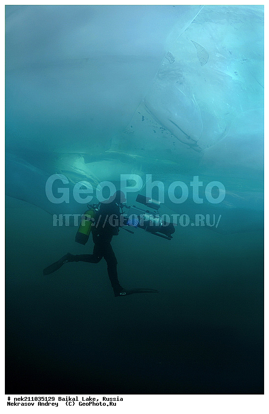 Didier, ICE diving, Noirot, ice-diving, icediving, ������, �������, �������, �����������, �����������, �����������, �����, �����, ��������� ���, ������, �������, ������, ���������, ���������, ���������, ������, ��������, �����������, �����, �����, �����, �����-��������, �����������, ����, ������, ������, ������, �����, �������, ����, ������, ����, ���, �������, ����������, ����������, ������, �������, �������, �������, �������, ����, ��, ������, ������, �����, ��������, ��������, ��, ���, ���������, ���������, ���������, ���������, ��������, ���������, ���������, ��������� ��������, ���������, ���������, �������, ������������, ������������, ������������, �������, �������, �����������, �����������, �����, ������, ��������, ��������, ��������, ������, �����, ����, �������, �������, �����, �����, ������, ������, ����������, �������, �������������, ���������, ��������� ���, ������ ������, ������, �������, ������, ���������������������, ����������, ����������, �������, �����������, ����, �����, ���������, �����, �������, ��������, ����������, ���������, ���������, �������, ���������� ���������, ������, ������, ���, ����, ������, �����, ������, ����� ������, ������ �����, ����������� ����, ���� ������, ����� ����, ����, ��������� ������, ��������� ����, ������� �����