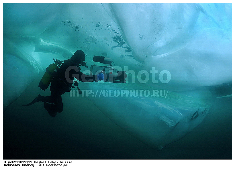 Didier, ICE diving, Noirot, ice-diving, icediving, ������, �������, �������, �����������, �����������, �����������, �����, �����, ��������� ���, ������, �������, ������, ���������, ���������, ���������, ������, ��������, �����������, �����, �����, �����, �����-��������, �����������, ����, ������, ������, ������, �����, �������, ����, ������, ����, ���, �������, ����������, ����������, ������, �������, �������, �������, �������, ����, ��, ������, ������, �����, ��������, ��������, ��, ���, ���������, ���������, ���������, ���������, ��������, ���������, ���������, ��������� ��������, ���������, ���������, �������, ������������, ������������, ������������, �������, �������, �����������, �����������, �����, ������, ��������, ��������, ��������, ������, �����, ����, �������, �������, �����, �����, ������, ������, ����������, �������, �������������, ���������, ��������� ���, ������ ������, ������, �������, ������, ���������������������, ����������, ����������, �������, �����������, ����, �����, ���������, �����, �������, ��������, ����������, ���������, ���������, �������, ���������� ���������, ������, ������, ���, ����, ������, �����, ������, ����� ������, ������ �����, ����������� ����, ���� ������, ����� ����, ����, ��������� ������, ��������� ����, ������� �����