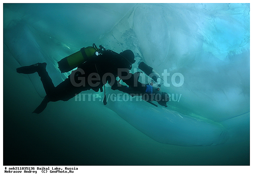 Didier, ICE diving, Noirot, ice-diving, icediving, ������, �������, �������, �����������, �����������, �����������, �����, �����, ��������� ���, ������, �������, ������, ���������, ���������, ���������, ������, ��������, �����������, �����, �����, �����, �����-��������, �����������, ����, ������, ������, ������, �����, �������, ����, ������, ����, ���, �������, ����������, ����������, ������, �������, �������, �������, �������, ����, ��, ������, ������, �����, ��������, ��������, ��, ���, ���������, ���������, ���������, ���������, ��������, ���������, ���������, ��������� ��������, ���������, ���������, �������, ������������, ������������, ������������, �������, �������, �����������, �����������, �����, ������, ��������, ��������, ��������, ������, �����, ����, �������, �������, �����, �����, ������, ������, ����������, �������, �������������, ���������, ��������� ���, ������ ������, ������, �������, ������, ���������������������, ����������, ����������, �������, �����������, ����, �����, ���������, �����, �������, ��������, ����������, ���������, ���������, �������, ���������� ���������, ������, ������, ���, ����, ������, �����, ������, ����� ������, ������ �����, ����������� ����, ���� ������, ����� ����, ����, ��������� ������, ��������� ����, ������� �����
