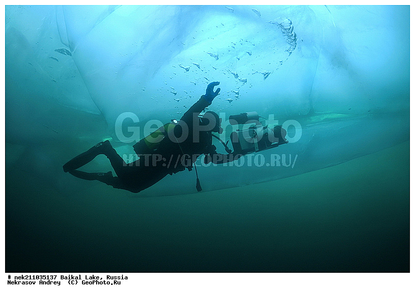 Didier, ICE diving, Noirot, ice-diving, icediving, ������, �������, �������, �����������, �����������, �����������, �����, �����, ��������� ���, ������, �������, ������, ���������, ���������, ���������, ������, ��������, �����������, �����, �����, �����, �����-��������, �����������, ����, ������, ������, ������, �����, �������, ����, ������, ����, ���, �������, ����������, ����������, ������, �������, �������, �������, �������, ����, ��, ������, ������, �����, ��������, ��������, ��, ���, ���������, ���������, ���������, ���������, ��������, ���������, ���������, ��������� ��������, ���������, ���������, �������, ������������, ������������, ������������, �������, �������, �����������, �����������, �����, ������, ��������, ��������, ��������, ������, �����, ����, �������, �������, �����, �����, ������, ������, ����������, �������, �������������, ���������, ��������� ���, ������ ������, ������, �������, ������, ���������������������, ����������, ����������, �������, �����������, ����, �����, ���������, �����, �������, ��������, ����������, ���������, ���������, �������, ���������� ���������, ������, ������, ���, ����, ������, �����, ������, ����� ������, ������ �����, ����������� ����, ���� ������, ����� ����, ����, ��������� ������, ��������� ����, ������� �����