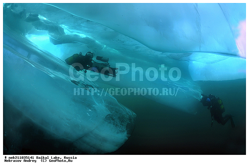 Didier, ICE diving, Noirot, ice-diving, icediving, ������, �������, �������, �����������, �����������, �����������, �����, �����, ��������� ���, ������, �������, ������, ���������, ���������, ���������, ������, ��������, �����������, �����, �����, �����, �����-��������, �����������, ����, ������, ������, ������, �����, �������, ����, ������, ����, ���, �������, ����������, ����������, ������, �������, �������, �������, �������, ����, ��, ������, ������, �����, ��������, ��������, ��, ���, ���������, ���������, ���������, ���������, ��������, ���������, ���������, ��������� ��������, ���������, ���������, �������, ������������, ������������, ������������, �������, �������, �����������, �����������, �����, ������, ��������, ��������, ��������, ������, �����, ����, �������, �������, �����, �����, ������, ������, ����������, �������, �������������, ���������, ��������� ���, ������ ������, ������, �������, ������, ���������������������, ����������, ����������, �������, �����������, ����, �����, ���������, �����, �������, ��������, ����������, ���������, ���������, �������, ���������� ���������, ������, ������, ���, ����, ������, �����, ������, ����� ������, ������ �����, ����������� ����, ���� ������, ����� ����, ����, ��������� ������, ��������� ����, ������� �����