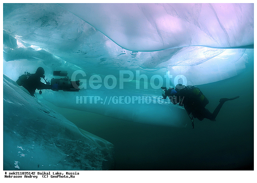 Didier, ICE diving, Noirot, ice-diving, icediving, ������, �������, �������, �����������, �����������, �����������, �����, �����, ��������� ���, ������, �������, ������, ���������, ���������, ���������, ������, ��������, �����������, �����, �����, �����, �����-��������, �����������, ����, ������, ������, ������, �����, �������, ����, ������, ����, ���, �������, ����������, ����������, ������, �������, �������, �������, �������, ����, ��, ������, ������, �����, ��������, ��������, ��, ���, ���������, ���������, ���������, ���������, ��������, ���������, ���������, ��������� ��������, ���������, ���������, �������, ������������, ������������, ������������, �������, �������, �����������, �����������, �����, ������, ��������, ��������, ��������, ������, �����, ����, �������, �������, �����, �����, ������, ������, ����������, �������, �������������, ���������, ��������� ���, ������ ������, ������, �������, ������, ���������������������, ����������, ����������, �������, �����������, ����, �����, ���������, �����, �������, ��������, ����������, ���������, ���������, �������, ���������� ���������, ������, ������, ���, ����, ������, �����, ������, ����� ������, ������ �����, ����������� ����, ���� ������, ����� ����, ����, ��������� ������, ��������� ����, ������� �����