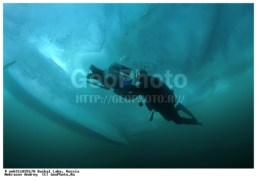 Didier, ICE diving, Noirot, ice-diving, icediving, ������, �������, �������, �����������, �����������, �����������, �����, �����, ��������� ���, ������, �������, ������, ���������, ���������, ���������, ������, ��������, �����������, �����, �����, �����, �����-��������, �����������, ����, ������, ������, ������, �����, �������, ����, ������, ����, ���, �������, ����������, ����������, ������, �������, �������, �������, �������, ����, ��, ������, ������, �����, ��������, ��������, ��, ���, ���������, ���������, ���������, ���������, ��������, ���������, ���������, ��������� ��������, ���������, ���������, �������, ������������, ������������, ������������, �������, �������, �����������, �����������, �����, ������, ��������, ��������, ��������, ������, �����, ����, �������, �������, �����, �����, ������, ������, ����������, �������, �������������, ���������, ��������� ���, ������ ������, ������, �������, ������, ���������������������, ����������, ����������, �������, �����������, ����, �����, ���������, �����, �������, ��������, ����������, ���������, ���������, �������, ���������� ���������, ������, ������, ���, ����, ������, �����, ������, ����� ������, ������ �����, ����������� ����, ���� ������, ����� ����, ����, ��������� ������, ��������� ����, ������� �����