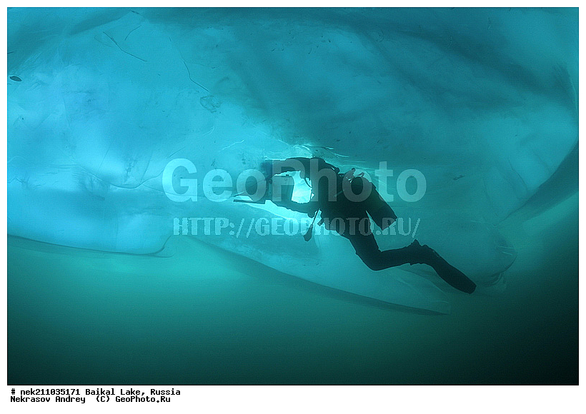 Didier, ICE diving, Noirot, ice-diving, icediving, ������, �������, �������, �����������, �����������, �����������, �����, �����, ��������� ���, ������, �������, ������, ���������, ���������, ���������, ������, ��������, �����������, �����, �����, �����, �����-��������, �����������, ����, ������, ������, ������, �����, �������, ����, ������, ����, ���, �������, ����������, ����������, ������, �������, �������, �������, �������, ����, ��, ������, ������, �����, ��������, ��������, ��, ���, ���������, ���������, ���������, ���������, ��������, ���������, ���������, ��������� ��������, ���������, ���������, �������, ������������, ������������, ������������, �������, �������, �����������, �����������, �����, ������, ��������, ��������, ��������, ������, �����, ����, �������, �������, �����, �����, ������, ������, ����������, �������, �������������, ���������, ��������� ���, ������ ������, ������, �������, ������, ���������������������, ����������, ����������, �������, �����������, ����, �����, ���������, �����, �������, ��������, ����������, ���������, ���������, �������, ���������� ���������, ������, ������, ���, ����, ������, �����, ������, ����� ������, ������ �����, ����������� ����, ���� ������, ����� ����, ����, ��������� ������, ��������� ����, ������� �����