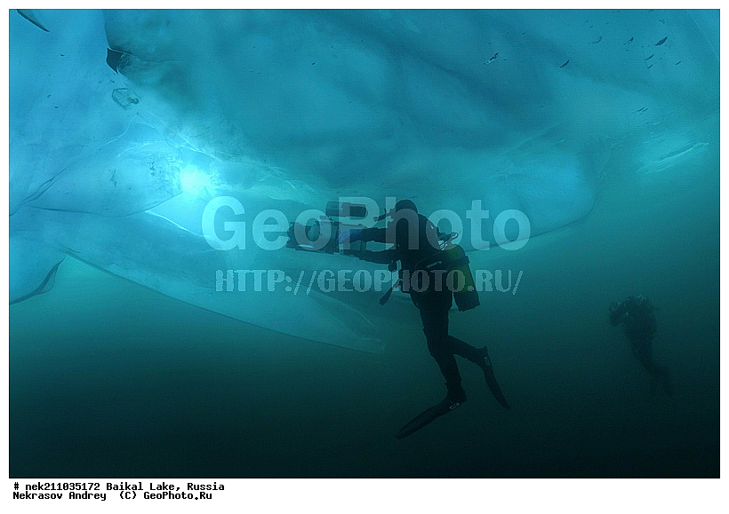 Didier, ICE diving, Noirot, ice-diving, icediving, ������, �����, �����, ��������� ���, ������, �������, ������, ��������, �����������, �����, �����-��������, �����������, ����, ������, ������, ������, �����, �������, ����, ������, ����, ���, ����, ������, ������, �����, ��������, ��������, ���, ���������, ���������, ���������, ���������, ��������, ���������, ���������, ��������� ��������, ���������, ���������, �������, ������������, ������������, ������������, �������, �������, �����������, �����������, �����, �����, ����, �������, �����, �����, ������, ������, ����������, �������, �������������, ���������, ��������� ���, ������ ������, ������, �������, ������, ���������������������, ����������, ����������, �������, �����������, ����, �����, ���������, �����, �������, ��������, ����������, ���������, ���������, �������, ���������� ���������, ������, ������, ���, ����, ������, �����, ������, ����� ������, ������ �����, ����������� ����, ���� ������, ����� ����, ����, ��������� ������, ��������� ����, ������� �����