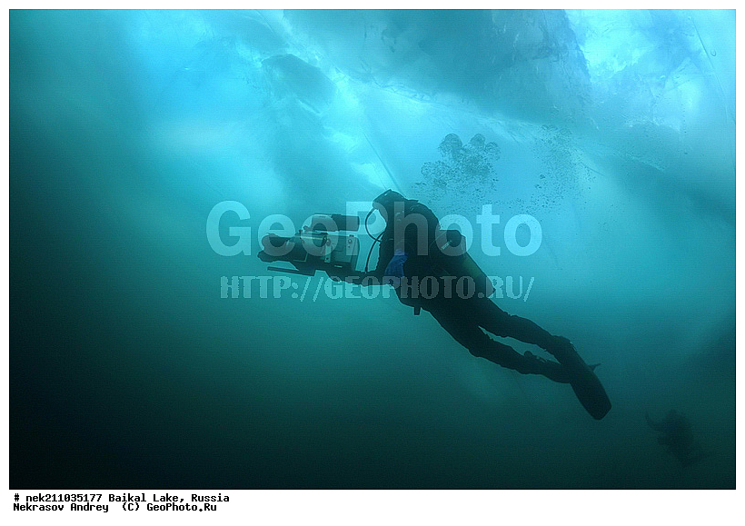 Didier, ICE diving, Noirot, ice-diving, icediving, ������, �������, �������, �����������, �����������, �����������, �����, �����, ��������� ���, ������, �������, ������, ���������, ���������, ���������, ������, ��������, �����������, �����, �����, �����, �����-��������, �����������, ����, ������, ������, ������, �����, �������, ����, ������, ����, ���, �������, ����������, ����������, ������, �������, �������, �������, �������, ����, ��, ������, ������, �����, ��������, ��������, ��, ���, ���������, ���������, ���������, ���������, ��������, ���������, ���������, ��������� ��������, ���������, ���������, �������, ������������, ������������, ������������, �������, �������, �����������, �����������, �����, ������, ��������, ��������, ��������, ������, �����, ����, �������, �������, �����, �����, ������, ������, ����������, �������, �������������, ���������, ��������� ���, ������ ������, ������, �������, ������, ���������������������, ����������, ����������, �������, �����������, ����, �����, ���������, �����, �������, ��������, ����������, ���������, ���������, �������, ���������� ���������, ������, ������, ���, ����, ������, �����, ������, ����� ������, ������ �����, ����������� ����, ���� ������, ����� ����, ����, ��������� ������, ��������� ����, ������� �����