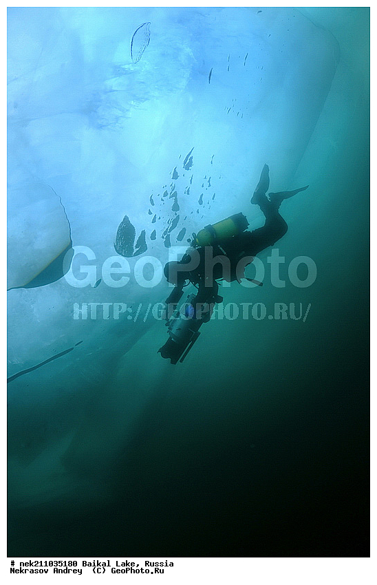 Didier, ICE diving, Noirot, ice-diving, icediving, ������, �������, �������, �����������, �����������, �����������, �����, �����, ��������� ���, ������, �������, ������, ���������, ���������, ���������, ������, ��������, �����������, �����, �����, �����, �����-��������, �����������, ����, ������, ������, ������, �����, �������, ����, ������, ����, ���, �������, ����������, ����������, ������, �������, �������, �������, �������, ����, ��, ������, ������, �����, ��������, ��������, ��, ���, ���������, ���������, ���������, ���������, ��������, ���������, ���������, ��������� ��������, ���������, ���������, �������, ������������, ������������, ������������, �������, �������, �����������, �����������, �����, ������, ��������, ��������, ��������, ������, �����, ����, �������, �������, �����, �����, ������, ������, ����������, �������, �������������, ���������, ��������� ���, ������ ������, ������, �������, ������, ���������������������, ����������, ����������, �������, �����������, ����, �����, ���������, �����, �������, ��������, ����������, ���������, ���������, �������, ���������� ���������, ������, ������, ���, ����, ������, �����, ������, ����� ������, ������ �����, ����������� ����, ���� ������, ����� ����, ����, ��������� ������, ��������� ����, ������� �����