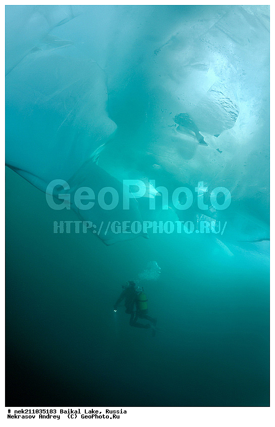 Didier, ICE diving, Noirot, ice-diving, icediving, ������, �������, �������, �����������, �����������, �����������, �����, �����, ��������� ���, ������, �������, ������, ���������, ���������, ���������, ������, ��������, �����������, �����, �����, �����, �����-��������, �����������, ����, ������, ������, ������, �����, �������, ����, ������, ����, ���, �������, ����������, ����������, ������, �������, �������, �������, �������, ����, ��, ������, ������, �����, ��������, ��������, ��, ���, ���������, ���������, ���������, ���������, ��������, ���������, ���������, ��������� ��������, ���������, ���������, �������, ������������, ������������, ������������, �������, �������, �����������, �����������, �����, ������, ��������, ��������, ��������, ������, �����, ����, �������, �������, �����, �����, ������, ������, ����������, �������, �������������, ���������, ��������� ���, ������ ������, ������, �������, ������, ���������������������, ����������, ����������, �������, �����������, ����, �����, ���������, �����, �������, ��������, ����������, ���������, ���������, �������, ���������� ���������, ������, ������, ���, ����, ������, �����, ������, ����� ������, ������ �����, ����������� ����, ���� ������, ����� ����, ����, ��������� ������, ��������� ����, ������� �����