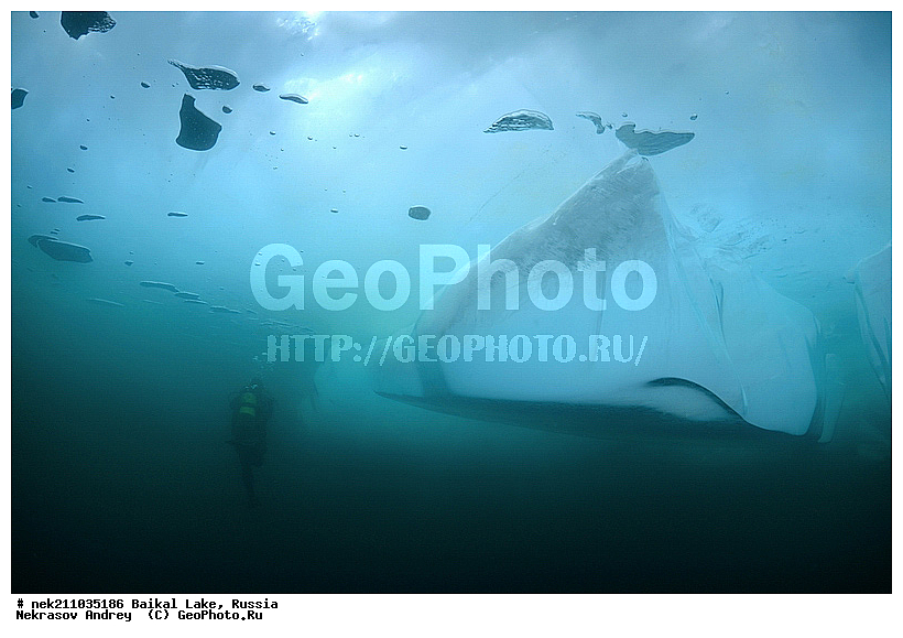 Didier, ICE diving, Noirot, ice-diving, icediving, ������, �������, �������, �����������, �����������, �����������, �����, �����, ��������� ���, ������, �������, ������, ���������, ���������, ���������, ������, ��������, �����������, �����, �����, �����, �����-��������, �����������, ����, ������, ������, ������, �����, �������, ����, ������, ����, ���, �������, ����������, ����������, ������, �������, �������, �������, �������, ����, ��, ������, ������, �����, ��������, ��������, ��, ���, ���������, ���������, ���������, ���������, ��������, ���������, ���������, ��������� ��������, ���������, ���������, �������, ������������, ������������, ������������, �������, �������, �����������, �����������, �����, ������, ��������, ��������, ��������, ������, �����, ����, �������, �������, �����, �����, ������, ������, ����������, �������, �������������, ���������, ��������� ���, ������ ������, ������, �������, ������, ���������������������, ����������, ����������, �������, �����������, ����, �����, ���������, �����, �������, ��������, ����������, ���������, ���������, �������, ���������� ���������, ������, ������, ���, ����, ������, �����, ������, ����� ������, ������ �����, ����������� ����, ���� ������, ����� ����, ����, ��������� ������, ��������� ����, ������� �����