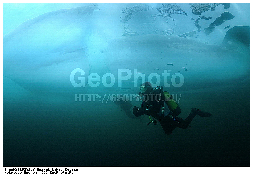 Didier, ICE diving, Noirot, ice-diving, icediving, ������, �������, �������, �����������, �����������, �����������, �����, �����, ��������� ���, ������, �������, ������, ���������, ���������, ���������, ������, ��������, �����������, �����, �����, �����, �����-��������, �����������, ����, ������, ������, ������, �����, �������, ����, ������, ����, ���, �������, ����������, ����������, ������, �������, �������, �������, �������, ����, ��, ������, ������, �����, ��������, ��������, ��, ���, ���������, ���������, ���������, ���������, ��������, ���������, ���������, ��������� ��������, ���������, ���������, �������, ������������, ������������, ������������, �������, �������, �����������, �����������, �����, ������, ��������, ��������, ��������, ������, �����, ����, �������, �������, �����, �����, ������, ������, ����������, �������, �������������, ���������, ��������� ���, ������ ������, ������, �������, ������, ���������������������, ����������, ����������, �������, �����������, ����, �����, ���������, �����, �������, ��������, ����������, ���������, ���������, �������, ���������� ���������, ������, ������, ���, ����, ������, �����, ������, ����� ������, ������ �����, ����������� ����, ���� ������, ����� ����, ����, ��������� ������, ��������� ����, ������� �����