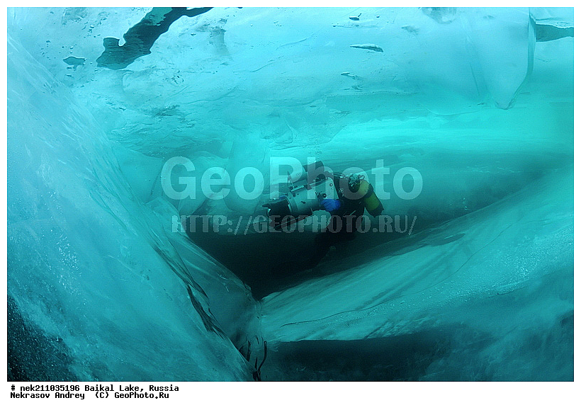 Didier, ICE diving, Noirot, ice-diving, icediving, ������, �������, �������, �����������, �����������, �����������, �����, �����, ��������� ���, ������, �������, ������, ���������, ���������, ���������, ������, ��������, �����������, �����, �����, �����, �����-��������, �����������, ����, ������, ������, ������, �����, �������, ����, ������, ����, ���, �������, ����������, ����������, ������, �������, �������, �������, �������, ����, ��, ������, ������, �����, ��������, ��������, ��, ���, ���������, ���������, ���������, ���������, ��������, ���������, ���������, ��������� ��������, ���������, ���������, �������, ������������, ������������, ������������, �������, �������, �����������, �����������, �����, ������, ��������, ��������, ��������, ������, �����, ����, �������, �������, �����, �����, ������, ������, ����������, �������, �������������, ���������, ��������� ���, ������ ������, ������, �������, ������, ���������������������, ����������, ����������, �������, �����������, ����, �����, ���������, �����, �������, ��������, ����������, ���������, ���������, �������, ���������� ���������, ������, ������, ���, ����, ������, �����, ������, ����� ������, ������ �����, ����������� ����, ���� ������, ����� ����, ����, ��������� ������, ��������� ����, ������� �����