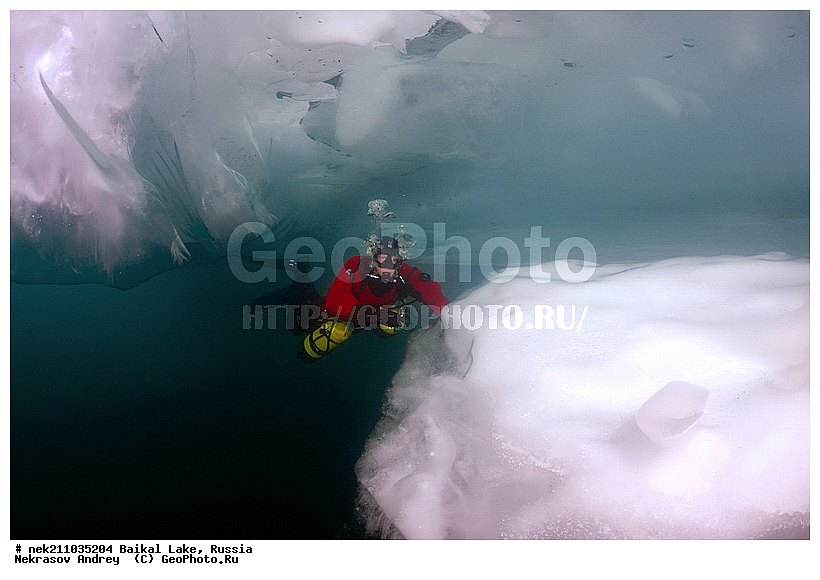 ICE diving, ice-diving, icediving, ������, �������, �������, �����������, �����������, �����������, ��������� ���, ������, �������, ������, ���������, ���������, ���������, ������, ��������, �����������, �����, �����, ����, ������, ������, ������, �����, �������, ����, ���, �������, ����������, ����������, ������, �������, �������, �������, �������, �����, ����, ��, ������, ������, �����, ��������, ��, ���, ���������, ���������, ���������, ���������, ��������, ���������, ���������, ��������� ��������, ���������, ���������, ��������� ������������, �������, ������������, ������������, ������������, �������, �������, �����������, �����������, �����, ������, ��������, ��������, ��������, ������, �����, ����, �������, �����, �����, �����, ������, ������, ����������, �������, �������������, ���������, ��������� ���, ������ ������, ������, �������, ������, ���������������������, ����������, ����������, �������, �����������, ����, �����, ���������, �����, �������, ��������, ����������, ���������, ���������, �������, ���������� ���������, ������, ������, ���, ����, ������, ������, ������, ����� ������, ������ �����, ����������� ����, ���� ������, ����� ����, ����, ��������� ������, ��������� ����, ������� �����