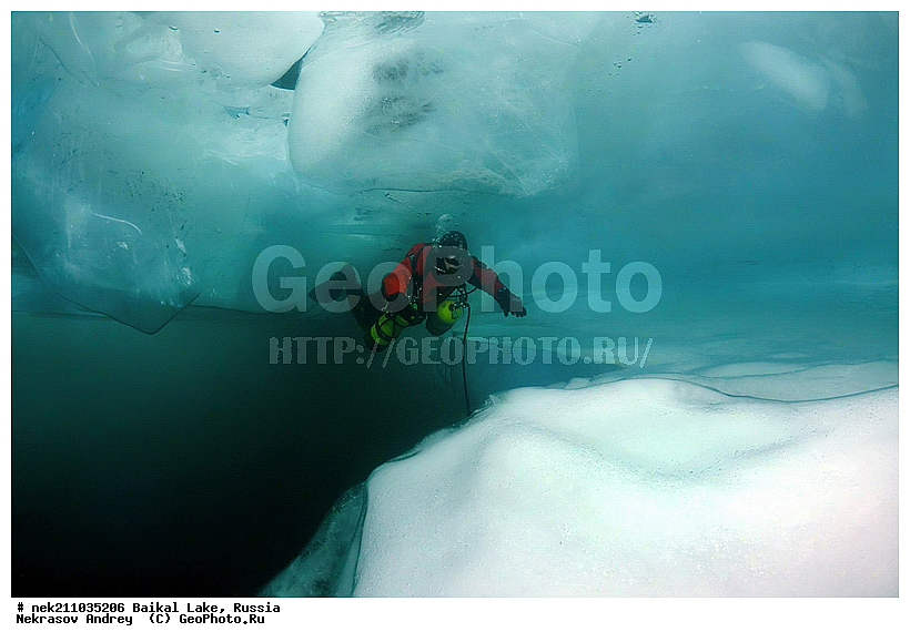 ICE diving, ice-diving, icediving, ������, �������, �������, �����������, �����������, �����������, ��������� ���, ������, �������, ������, ���������, ���������, ���������, ������, ��������, �����������, �����, �����, ����, ������, ������, ������, �����, �������, ����, ���, �������, ����������, ����������, ������, �������, �������, �������, �������, �����, ����, ��, ������, ������, �����, ��������, ��, ���, ���������, ���������, ���������, ���������, ��������, ���������, ���������, ��������� ��������, ���������, ���������, ��������� ������������, �������, ������������, ������������, ������������, �������, �������, �����������, �����������, �����, ������, ��������, ��������, ��������, ������, �����, ����, �������, �����, �����, �����, ������, ������, ����������, �������, �������������, ���������, ��������� ���, ������ ������, ������, �������, ������, ���������������������, ����������, ����������, �������, �����������, ����, �����, ���������, �����, �������, ��������, ����������, ���������, ���������, �������, ���������� ���������, ������, ������, ���, ����, ������, ������, ������, ����� ������, ������ �����, ����������� ����, ���� ������, ����� ����, ����, ��������� ������, ��������� ����, ������� �����