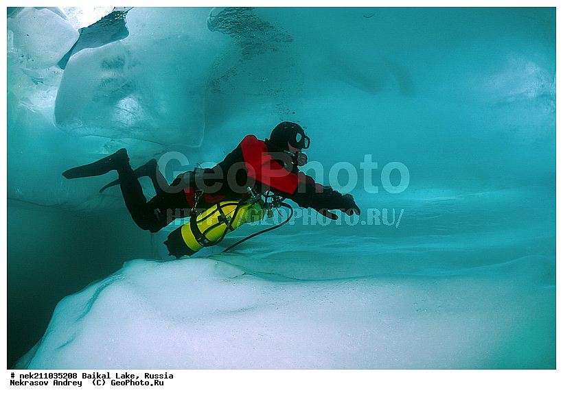 ICE diving, ice-diving, icediving, ������, �������, �������, �����������, �����������, �����������, ��������� ���, ������, �������, ������, ���������, ���������, ���������, ������, ��������, �����������, �����, �����, ����, ������, ������, ������, �����, �������, ����, ���, �������, ����������, ����������, ������, �������, �������, �������, �������, �����, ����, ��, ������, ������, �����, ��������, ��, ���, ���������, ���������, ���������, ���������, ��������, ���������, ���������, ��������� ��������, ���������, ���������, ��������� ������������, �������, ������������, ������������, ������������, �������, �������, �����������, �����������, �����, ������, ��������, ��������, ��������, ������, �����, ����, �������, �����, �����, �����, ������, ������, ����������, �������, �������������, ���������, ��������� ���, ������ ������, ������, �������, ������, ���������������������, ����������, ����������, �������, �����������, ����, �����, ���������, �����, �������, ��������, ����������, ���������, ���������, �������, ���������� ���������, ������, ������, ���, ����, ������, ������, ������, ����� ������, ������ �����, ����������� ����, ���� ������, ����� ����, ����, ��������� ������, ��������� ����, ������� �����