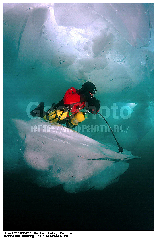 ICE diving, ice-diving, icediving, ������, �������, �������, �����������, �����������, �����������, ��������� ���, ������, �������, ������, ���������, ���������, ���������, ������, ��������, �����������, �����, �����, ����, ������, ������, ������, �����, �������, ����, ���, �������, ����������, ����������, ������, �������, �������, �������, �������, �����, ����, ��, ������, ������, �����, ��������, ��, ���, ���������, ���������, ���������, ���������, ��������, ���������, ���������, ��������� ��������, ���������, ���������, ��������� ������������, �������, ������������, ������������, ������������, �������, �������, �����������, �����������, �����, ������, ��������, ��������, ��������, ������, �����, ����, �������, �����, �����, �����, ������, ������, ����������, �������, �������������, ���������, ��������� ���, ������ ������, ������, �������, ������, ���������������������, ����������, ����������, �������, �����������, ����, �����, ���������, �����, �������, ��������, ����������, ���������, ���������, �������, ���������� ���������, ������, ������, ���, ����, ������, ������, ������, ����� ������, ������ �����, ����������� ����, ���� ������, ����� ����, ����, ��������� ������, ��������� ����, ������� �����