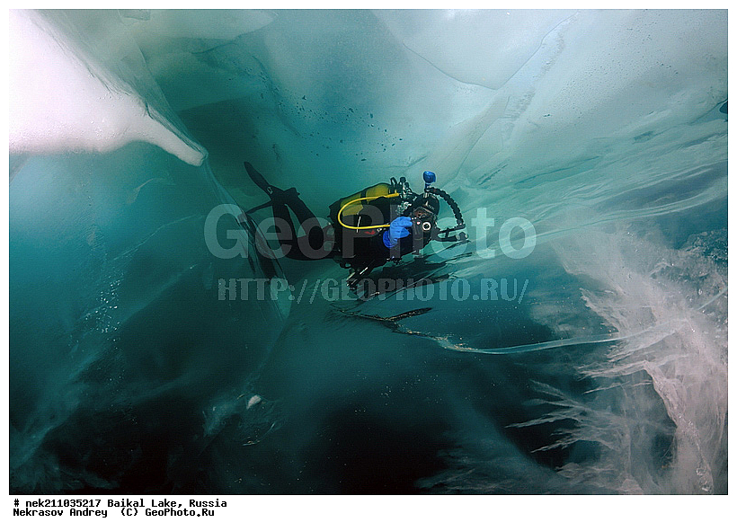 ICE diving, ice-diving, icediving, ������, �������, �������, �����������, �����������, �����������, ��������� ���, ������, �������, ������, ���������, ���������, ���������, ������, ��������, �����������, �����, �����, ����, ������, ������, ������, �����, �������, ����, ���, �������, ����������, ����������, ������, �������, �������, �������, �������, �����, ����, ��, ������, ������, �����, ��������, ��, ���, ���������, ���������, ���������, ���������, ��������, ���������, ���������, ��������� ��������, ���������, ���������, �������, ������������, ������������, ������������, �������, �������, �����������, �����������, �����, ������, ��������, ��������, ��������, ������, �����, ����, �������, �����, �����, �����, ������, ������, ��������, �������������, ����������, �������, �������������, ���������, ��������� ���, ������ ������, ������, �������, ������, ���������������������, ����������, ����������, �������, �����������, ����, �����, ���������, �����, �������, ��������, ����������, ���������, ���������, �������, ���������� ���������, ������, ������, ���, ����, ������, ������, ������, ����� ������, ������ �����, ����������� ����, ���� ������, ����� ����, ����, ��������� ������, ��������� ����, ������� �����