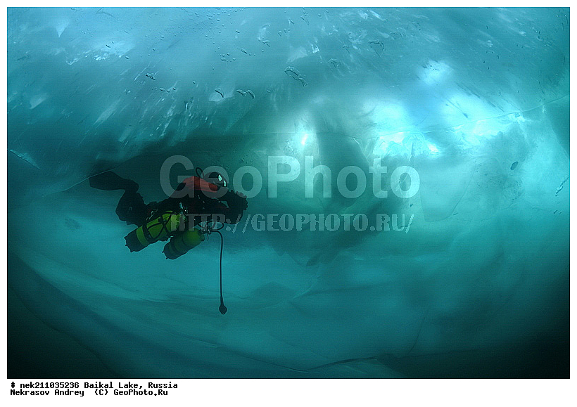 ICE diving, ice-diving, icediving, ������, �������, �������, �����������, �����������, �����������, ��������� ���, ������, �������, ������, ���������, ���������, ���������, ������, ��������, �����������, �����, �����, ����, ������, ������, ������, �����, �������, ����, ���, �������, ����������, ����������, ������, �������, �������, �������, �������, �����, ����, ��, ������, ������, �����, ��������, ��, ���, ���������, ���������, ���������, ���������, ��������, ���������, ���������, ��������� ��������, ���������, ���������, ��������� ������������, �������, ������������, ������������, ������������, �������, �������, �����������, �����������, �����, ������, ��������, ��������, ��������, ������, �����, ����, �������, �����, �����, �����, ������, ������, ����������, �������, �������������, ���������, ��������� ���, ������ ������, ������, �������, ������, ���������������������, ����������, ����������, �������, �����������, ����, �����, ���������, �����, �������, ��������, ����������, ���������, ���������, �������, ���������� ���������, ������, ������, ���, ����, ������, ������, ������, ����� ������, ������ �����, ����������� ����, ���� ������, ����� ����, ����, ��������� ������, ��������� ����, ������� �����