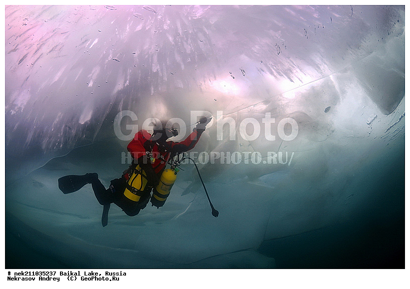 ICE diving, ice-diving, icediving, ������, �������, �������, �����������, �����������, �����������, ��������� ���, ������, �������, ������, ���������, ���������, ���������, ������, ��������, �����������, �����, �����, ����, ������, ������, ������, �����, �������, ����, ���, �������, ����������, ����������, ������, �������, �������, �������, �������, �����, ����, ��, ������, ������, �����, ��������, ��, ���, ���������, ���������, ���������, ���������, ��������, ���������, ���������, ��������� ��������, ���������, ���������, ��������� ������������, �������, ������������, ������������, ������������, �������, �������, �����������, �����������, �����, ������, ��������, ��������, ��������, ������, �����, ����, �������, �����, �����, �����, ������, ������, ����������, �������, �������������, ���������, ��������� ���, ������ ������, ������, �������, ������, ���������������������, ����������, ����������, �������, �����������, ����, �����, ���������, �����, �������, ��������, ����������, ���������, ���������, �������, ���������� ���������, ������, ������, ���, ����, ������, ������, ������, ����� ������, ������ �����, ����������� ����, ���� ������, ����� ����, ����, ��������� ������, ��������� ����, ������� �����