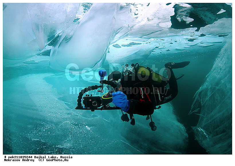 ICE diving, ice-diving, icediving, ������, ��������� ���, ������, �������, ������, ��������, �����������, ����, ������, ������, ������, �����, �������, ����, ���, �����, ����, ������, ������, �����, ��������, ���, ���������, ���������, ���������, ���������, ��������, ���������, ���������, ��������� ��������, ���������, ���������, �������, ������������, ������������, ������������, �������, �������, �����������, �����������, �����, �����, ����, �����, �����, �����, ������, ������, ��������, �������������, ����������, �������, �������������, ���������, ��������� ���, ������ ������, ������, �������, ������, ���������������������, ����������, ����������, �������, �����������, ����, �����, ���������, �����, �������, ��������, ����������, ���������, ���������, �������, ���������� ���������, ������, ������, ���, ����, ������, ������, ������, ����� ������, ������ �����, ����������� ����, ���� ������, ����� ����, ����, ��������� ������, ��������� ����, ������� �����