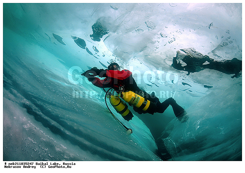 ICE diving, ice-diving, icediving, ������, �������, �������, �����������, �����������, �����������, ��������� ���, ������, �������, ������, ���������, ���������, ���������, ������, ��������, �����������, �����, �����, ������, ������, �������, ����, ���, �������, ����������, ����������, ������, �������, �������, �������, �������, �����, ����, ��, ������, ������, �����, ��������, ��, ���, ���������, ���������, ���������, ���������, ���������, ��������� ��������, ���������, ���������, ��������� ������������, �������, ������������, ������������, ������������, �������, �������, �����������, �����������, �����, ������, ��������, ��������, ��������, ������, �����, ����, �������, �����, �����, �����, ������, ������, ����������, �������, �������������, ���������, ��������� ���, ������ ������, ������, �������, ������, ���������������������, ����������, ����������, �������, �����������, ����, �����, ���������, �����, �������, ��������, ����������, ���������, ���������, �������, ���������� ���������, ������, ������, ���, ����, ������, ������, ������, ����� ������, ������ �����, ����������� ����, ���� ������, ����� ����, ����, ��������� ������, ��������� ����, ������� �����