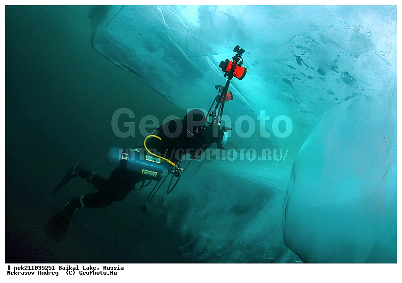 ICE diving, ice-diving, icediving, ������, �������, �������, �����������, �����������, �����������, ��������� ���, ������, �������, ������, ���������, ���������, ���������, ������, ��������, �����������, �����, �����, ����, ������, ������, ������, �����, �������, ����, ���, �������, ����������, ����������, ������, �������, �������, �������, �������, �����, ����, ��, ������, ������, �����, ��������, ��, ���, ���������, ���������, ���������, ���������, ��������, ���������, ���������, ��������� ��������, ���������, ���������, ��������� ������������, �������, ������������, ������������, ������������, �������, �������, �����������, �����������, �����, ������, ��������, ��������, ��������, ������, �����, ����, �������, �����, �����, �����, ������, ������, ��������, �������������, ����������, �������, �������������, ���������, ��������� ���, ������ ������, ������, �������, ������, ���������������������, ����������, ����������, �������, �����������, ����, �����, ���������, �����, �������, ��������, ����������, ���������, ���������, �������, ���������� ���������, ������, ������, ���, ����, ������, ������, ������, ����� ������, ������ �����, ����������� ����, ���� ������, ����� ����, ����, ��������� ������, ��������� ����, ������� �����