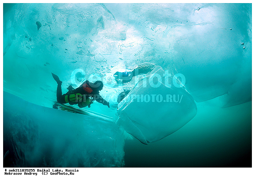 �������, ������������, ������������, ������������, �������, �������, �������������, ���������, ��������� ���, ������ ������, ������, �������, ������, ���������������������, ����������, ����������, �������, �����������, ����, �����, ���������, �����, �������, ��������, ����������, ���������, ���������, �������, ���������� ���������, ������, ������, ���, ����, ������, ������, ������, ����� ������, ������ �����, ����������� ����, ���� ������, ����� ����, ����, ��������� ������, ��������� ����, ������� �����