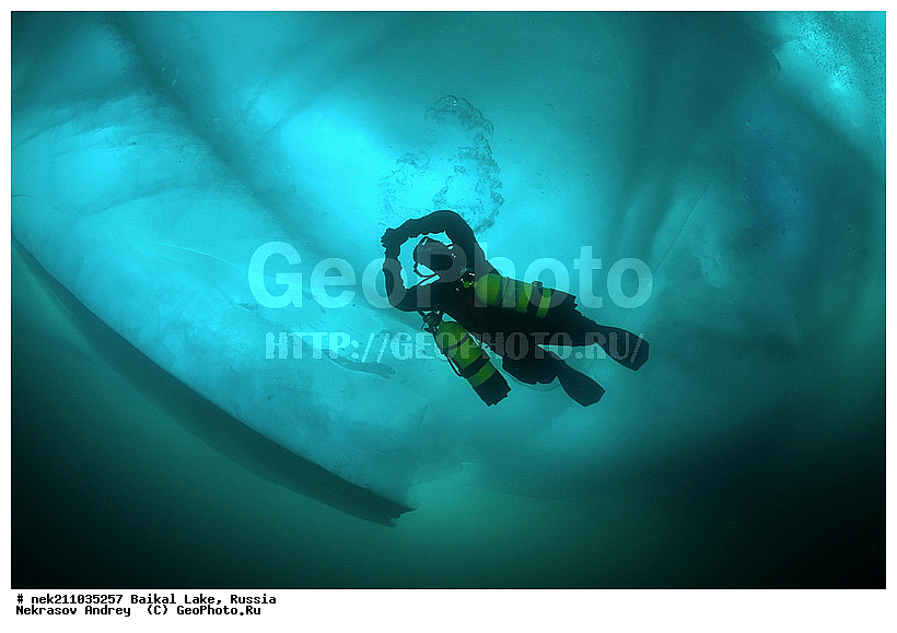 ICE diving, ice-diving, icediving, ������, �������, �������, �����������, �����������, �����������, ��������� ���, ������, �������, ������, ���������, ���������, ���������, ������, ��������, �����������, �����, �����, ����, ������, ������, ������, �����, �������, ����, ���, �������, ����������, ����������, ������, �������, �������, �������, �������, �����, ����, ��, ������, ������, �����, ��������, ��, ���, ���������, ���������, ���������, ���������, ��������, ���������, ���������, ��������� ��������, ���������, ���������, ��������� ������������, �������, ������������, ������������, ������������, �������, �������, �����������, �����������, �����, ������, ��������, ��������, ��������, ������, �����, ����, �������, �����, �����, �����, ������, ������, ����������, �������, �������������, ���������, ��������� ���, ������ ������, ������, �������, ������, ���������������������, ����������, ����������, �������, �����������, ����, �����, ���������, �����, �������, ��������, ����������, ���������, ���������, �������, ���������� ���������, ������, ������, ���, ����, ������, ������, ������, ����� ������, ������ �����, ����������� ����, ���� ������, ����� ����, ����, ��������� ������, ��������� ����, ������� �����