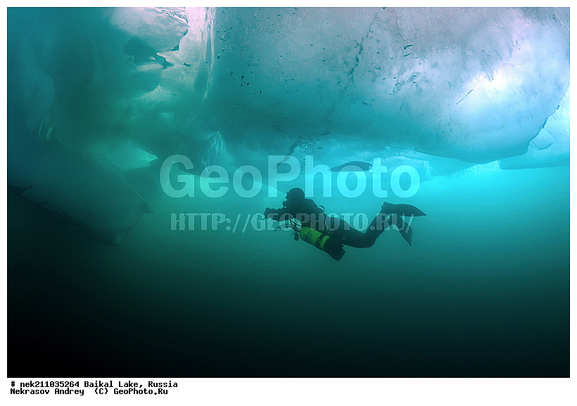 ICE diving, ice-diving, icediving, ������, �������, �������, �����������, �����������, �����������, ��������� ���, ������, �������, ������, ���������, ���������, ���������, ������, ��������, �����������, �����, �����, ����, ������, ������, ������, �����, �������, ����, ���, �������, ����������, ����������, ������, �������, �������, �������, �������, �����, ����, ��, ������, ������, �����, ��������, ��, ���, ���������, ���������, ���������, ���������, ��������, ���������, ���������, ��������� ��������, ���������, ���������, ��������� ������������, �������, ������������, ������������, ������������, �������, �������, �����������, �����������, �����, ������, ��������, ��������, ��������, ������, �����, ����, �������, �����, �����, �����, ������, ������, ����������, �������, �������������, ���������, ��������� ���, ������ ������, ������, �������, ������, ���������������������, ����������, ����������, �������, �����������, ����, �����, ���������, �����, �������, ��������, ����������, ���������, ���������, �������, ���������� ���������, ������, ������, ���, ����, ������, ������, ������, ����� ������, ������ �����, ����������� ����, ���� ������, ����� ����, ����, ��������� ������, ��������� ����, ������� �����