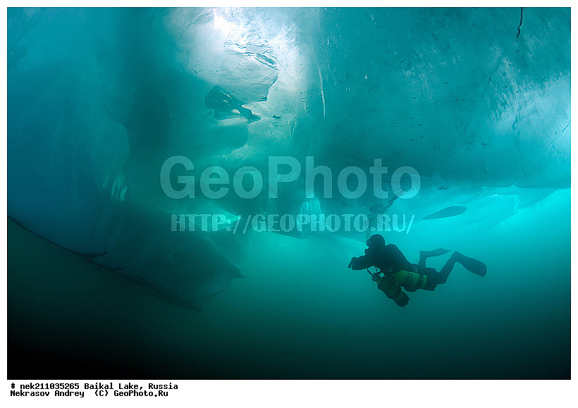 ICE diving, ice-diving, icediving, ������, �������, �������, �����������, �����������, �����������, ��������� ���, ������, �������, ������, ���������, ���������, ���������, ������, ��������, �����������, �����, �����, ����, ������, ������, ������, �����, �������, ����, ���, �������, ����������, ����������, ������, �������, �������, �������, �������, �����, ����, ��, ������, ������, �����, ��������, ��, ���, ���������, ���������, ���������, ���������, ��������, ���������, ���������, ��������� ��������, ���������, ���������, ��������� ������������, �������, ������������, ������������, ������������, �������, �������, �����������, �����������, �����, ������, ��������, ��������, ��������, ������, �����, ����, �������, �����, �����, �����, ������, ������, ����������, �������, �������������, ���������, ��������� ���, ������ ������, ������, �������, ������, ���������������������, ����������, ����������, �������, �����������, ����, �����, ���������, �����, �������, ��������, ����������, ���������, ���������, �������, ���������� ���������, ������, ������, ���, ����, ������, ������, ������, ����� ������, ������ �����, ����������� ����, ���� ������, ����� ����, ����, ��������� ������, ��������� ����, ������� �����