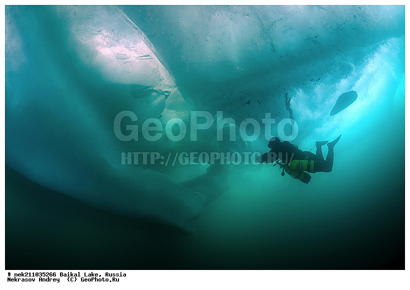 ICE diving, ice-diving, icediving, ������, �������, �������, �����������, �����������, �����������, ��������� ���, ������, �������, ������, ���������, ���������, ���������, ������, ��������, �����������, �����, �����, ����, ������, ������, ������, �����, �������, ����, ���, �������, ����������, ����������, ������, �������, �������, �������, �������, �����, ����, ��, ������, ������, �����, ��������, ��, ���, ���������, ���������, ���������, ���������, ��������, ���������, ���������, ��������� ��������, ���������, ���������, ��������� ������������, �������, ������������, ������������, ������������, �������, �������, �����������, �����������, �����, ������, ��������, ��������, ��������, ������, �����, ����, �������, �����, �����, �����, ������, ������, ����������, �������, �������������, ���������, ��������� ���, ������ ������, ������, �������, ������, ���������������������, ����������, ����������, �������, �����������, ����, �����, ���������, �����, �������, ��������, ����������, ���������, ���������, �������, ���������� ���������, ������, ������, ���, ����, ������, ������, ������, ����� ������, ������ �����, ����������� ����, ���� ������, ����� ����, ����, ��������� ������, ��������� ����, ������� �����