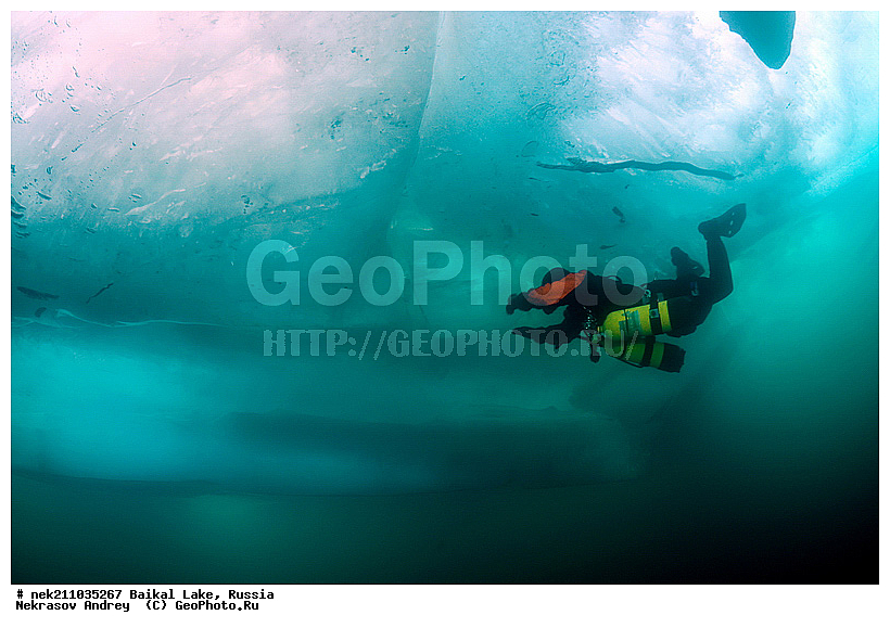 ICE diving, ice-diving, icediving, ������, �������, �������, �����������, �����������, �����������, ��������� ���, ������, �������, ������, ���������, ���������, ���������, ������, ��������, �����������, �����, �����, ����, ������, ������, ������, �����, �������, ����, ���, �������, ����������, ����������, ������, �������, �������, �������, �������, �����, ����, ��, ������, ������, �����, ��������, ��, ���, ���������, ���������, ���������, ���������, ��������, ���������, ���������, ��������� ��������, ���������, ���������, ��������� ������������, �������, ������������, ������������, ������������, �������, �������, �����������, �����������, �����, ������, ��������, ��������, ��������, ������, �����, ����, �������, �����, �����, �����, ������, ������, ����������, �������, �������������, ���������, ��������� ���, ������ ������, ������, �������, ������, ���������������������, ����������, ����������, �������, �����������, ����, �����, ���������, �����, �������, ��������, ����������, ���������, ���������, �������, ���������� ���������, ������, ������, ���, ����, ������, ������, ������, ����� ������, ������ �����, ����������� ����, ���� ������, ����� ����, ����, ��������� ������, ��������� ����, ������� �����