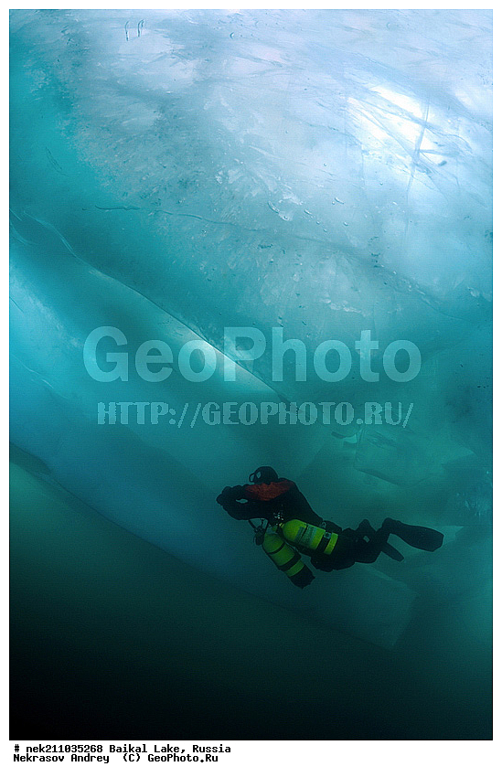 ICE diving, ice-diving, icediving, ������, �������, �������, �����������, �����������, �����������, ��������� ���, ������, �������, ������, ���������, ���������, ���������, ������, ��������, �����������, �����, �����, ����, ������, ������, ������, �����, �������, ����, ���, �������, ����������, ����������, ������, �������, �������, �������, �������, �����, ����, ��, ������, ������, �����, ��������, ��, ���, ���������, ���������, ���������, ���������, ��������, ���������, ���������, ��������� ��������, ���������, ���������, ��������� ������������, �������, ������������, ������������, ������������, �������, �������, �����������, �����������, �����, ������, ��������, ��������, ��������, ������, �����, ����, �������, �����, �����, �����, ������, ������, ����������, �������, �������������, ���������, ��������� ���, ������ ������, ������, �������, ������, ���������������������, ����������, ����������, �������, �����������, ����, �����, ���������, �����, �������, ��������, ����������, ���������, ���������, �������, ���������� ���������, ������, ������, ���, ����, ������, ������, ������, ����� ������, ������ �����, ����������� ����, ���� ������, ����� ����, ����, ��������� ������, ��������� ����, ������� �����