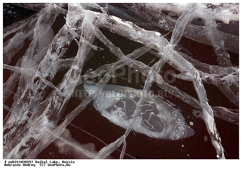 ������, �������, �������, �����������, �����������, �����������, ������, �������, ������, ���������, ���������, ���������, ������, ���, �����, �����, �����, ����, ������, ��������, ���, �������, ����������, ����������, ������, �������, �������, �������, �������, ����, ��, �����, ������, ��, ���, �������, ������������, ������������, ������������, �������, �������, �������, ����������, ����, �����, ������, ��������, ��������, ��������, ������, �������, ����������, �������, �������, ����� ����, ������, ������, ����� ������, ������ �����, ����������� ����, ���� ������, ����� ����, ����, ��������� ������, ��������� ����, ������� �����, ������ 