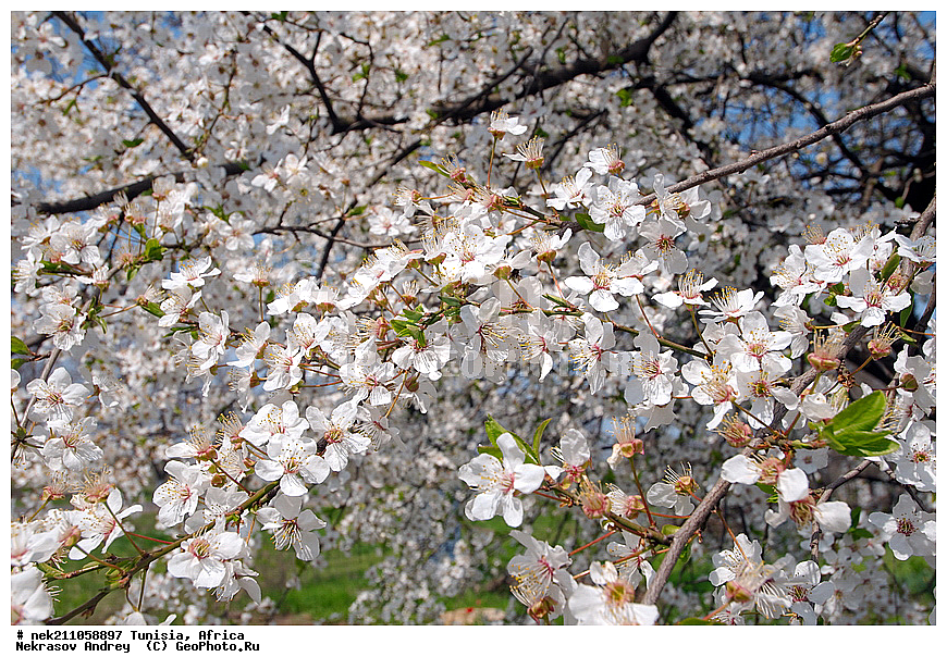 ������, �����, ������, �����, ���������, ������, ��������, �����, ������, ��������, ������, ��������, ��������, �����, ����������, ������, ������������, ������, ��������, �������, ��������, ���, �����, ��������, �������, �������, �������, �����, ���, ���������, ����, ��������, ������, ������, ��������, �����, �����, ����