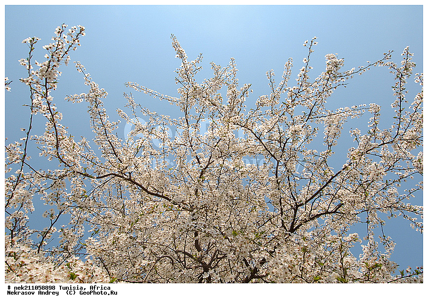 ������, �����, ������, �����, ������, ��������, �����, ������, ��������, ������, ��������, ��������, �����, ����������, ������, ������������, ������, ��������, �������, ��������, ���, �����, ��������, �������, �������, �������, �����, ���, ���������, ����, ��������, ������, ������, ��������, �����, �����, ����