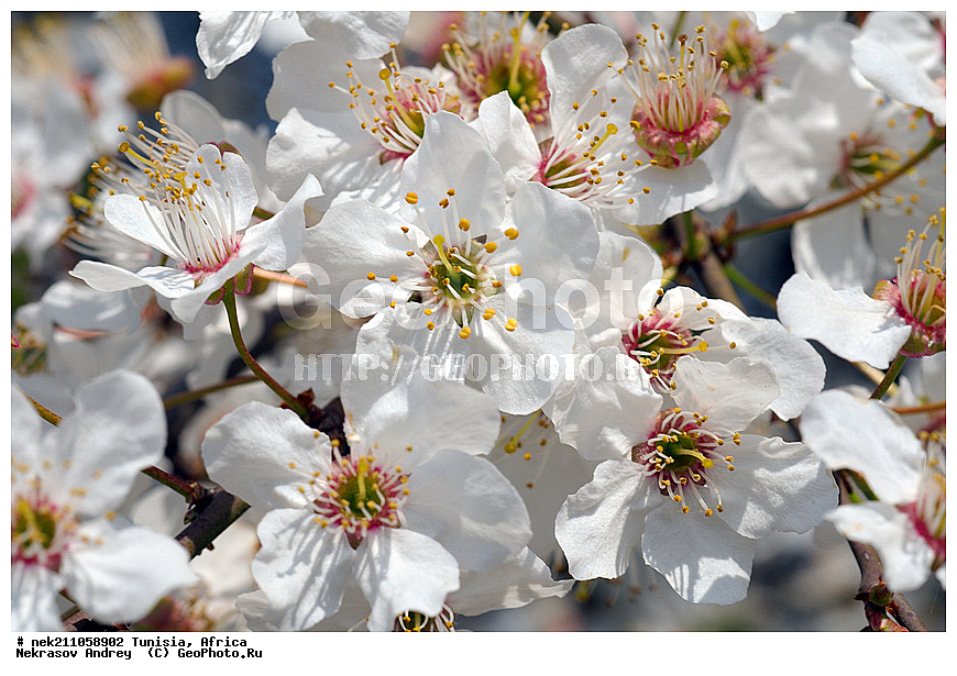 ������, �����, ������, �����, ���������, ������, ��������, �����, ������, ��������, ������, ��������, ��������, �����, ����������, ������, ������������, ������, ��������, �������, ��������, ���, �����, ��������, �������, �������, �������, �����, ���, ���������, ����, ��������, ������, ������, ��������, �����, �����, ����