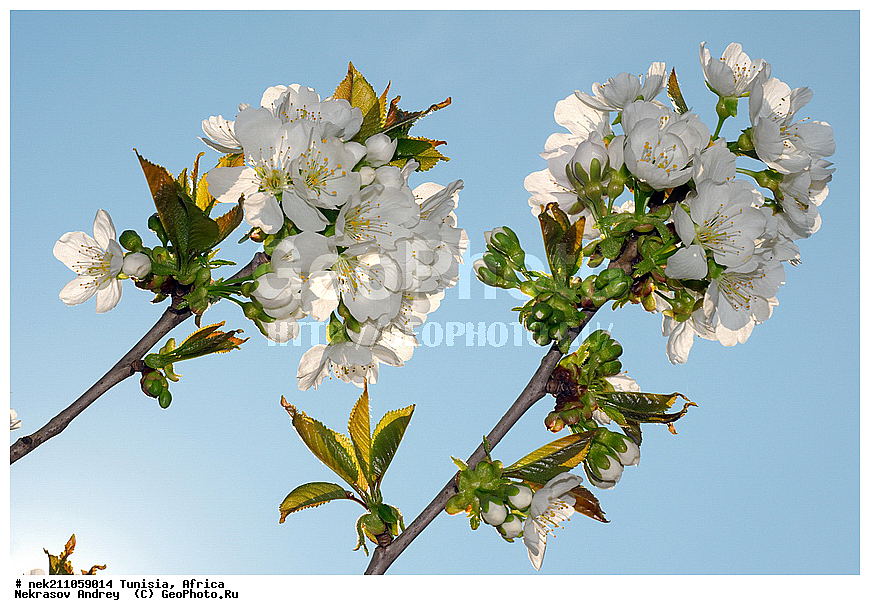 ������, �����, ������, �����, ������, ��������, �����, ������, ��������, ������, ��������, ��������, �����, ����������, ������, ������������, ������, ��������, �������, ��������, ���, �����, ��������, �������, �������, �������, �����, ���, ���������, ����, ��������, ������, ������, ��������, �����, �����, ����