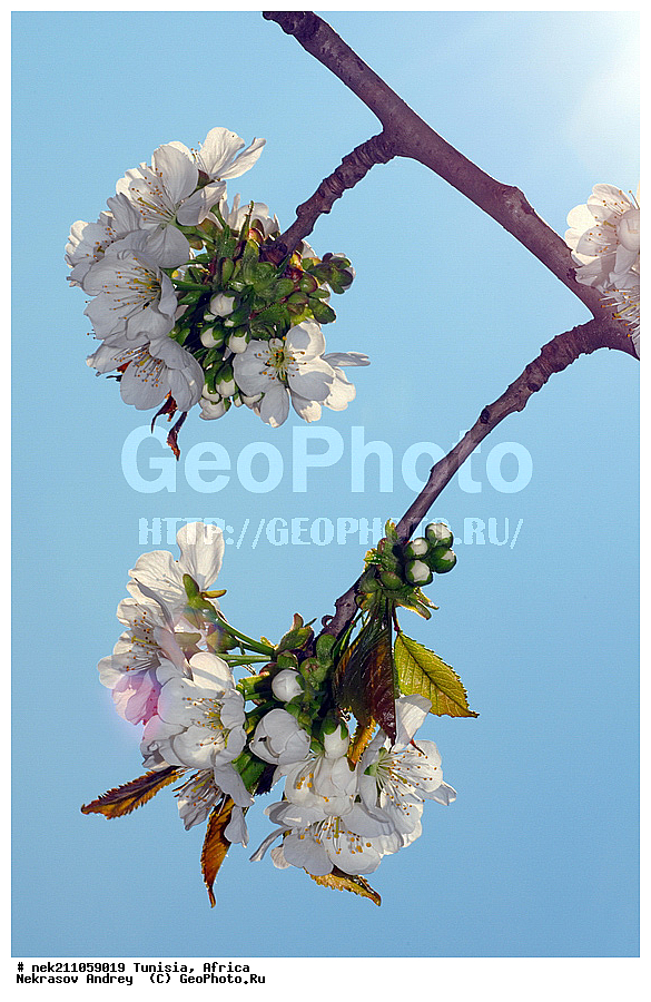 ������, �����, ������, �����, ���������, ������, ��������, �����, ������, ��������, ������, ��������, ��������, �����, ����������, ������, ������������, ������, ��������, �������, ��������, ���, �����, ��������, �������, �������, �������, �����, ���, ���������, ����, ��������, ������, ������, ��������, �����, �����, ����