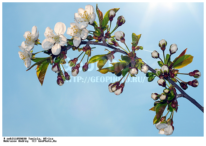 ������, �����, ������, �����, ������, ��������, �����, ������, ��������, ������, ��������, ��������, �����, ����������, ������, ������������, ������, ��������, �������, ��������, ���, �����, ��������, �������, �������, �������, �����, ���, ���������, ����, ��������, ������, ������, ��������, �����, �����, ����