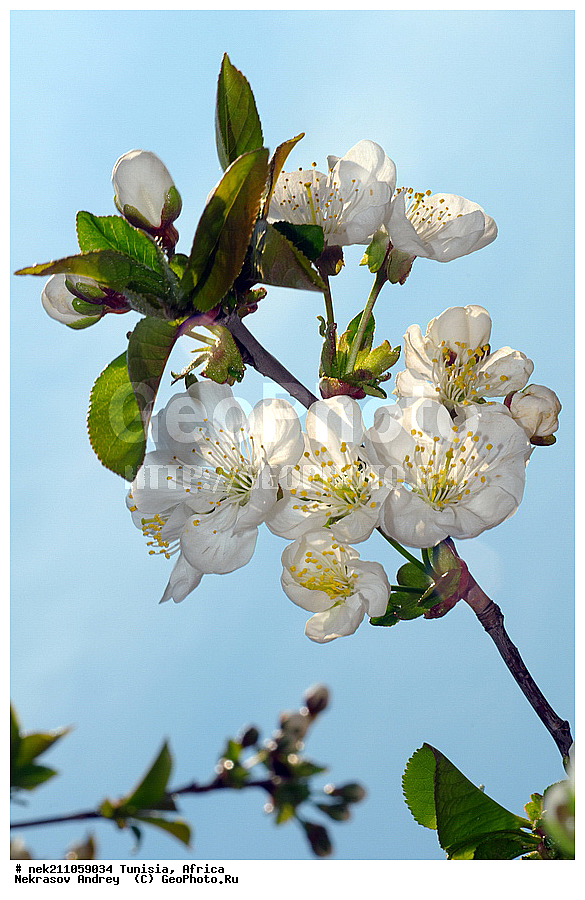 ������, �����, ������, �����, ���������, ������, ��������, �����, ������, ��������, ������, ��������, ��������, �����, ����������, ������, ������������, ������, ��������, �������, ��������, ���, �����, ��������, �������, �������, �������, �����, ���, ���������, ����, ��������, ������, ������, ��������, �����, �����, ����