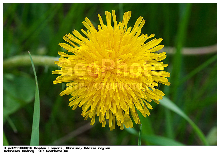 ���, �������� �������, ��������� �������������, ���, �������, �����, ����, �������, ������, �����, ����, �������, �������, �������, ��������, ��������, ���������, ���������, ����, �������, �������, �������, ���������, ���������, ���������, ��������, ��������, ������, ��������������, ������������, �������, ����, �������, �������, �����, ����������, ����������, �����, ������, ��������, ��������, ��������, �����, �����