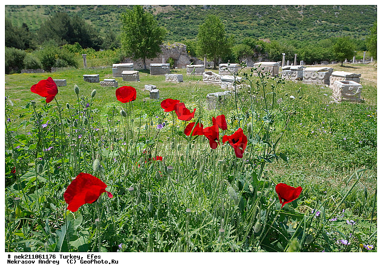 �������, ��������, ������, ���������, ���������, ������, ����, ��������, ���������������, ����������, �����������, �������������, ���������������, ���������������, �, ���, �������, �����, ���������������������, �������, �������, ������������, ������������, �������, ��������, ��������, ����������, ������, ���������, ���������, ���, ����, �����, ��������, ��, ��������, ������, ��������, ������, ���������, ����������, �������, �����, ��������, ��������, ��������, ��������, �������������, �������������, �������������, �������������, �����