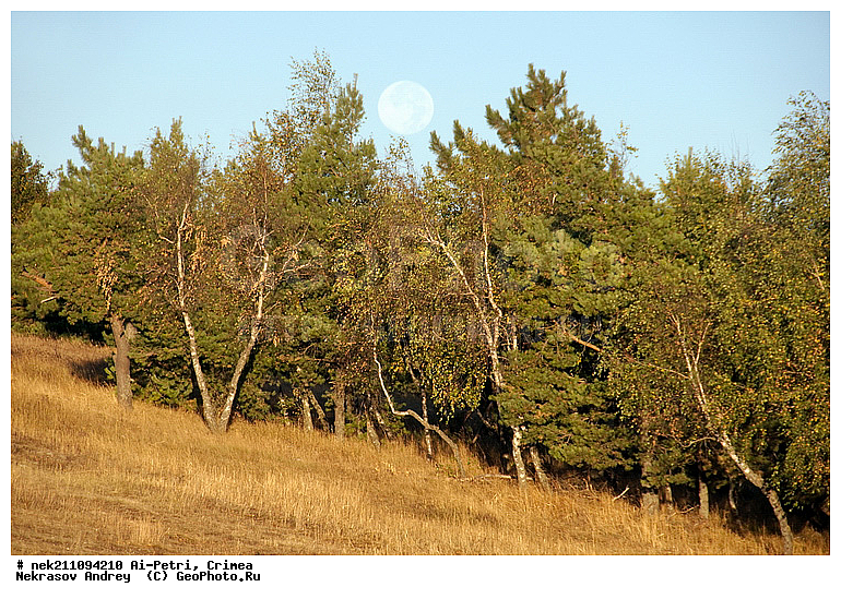 ��-�����, ����, ����, ��������, ��������, ��������, �����, ���, ����������, �, ���, ����, ������, ������, ������, ������, ������ ��������, ����, ������, ���, ����, ����, ������, �������, �����, �������, �����������, �����, ������, ������������� �����