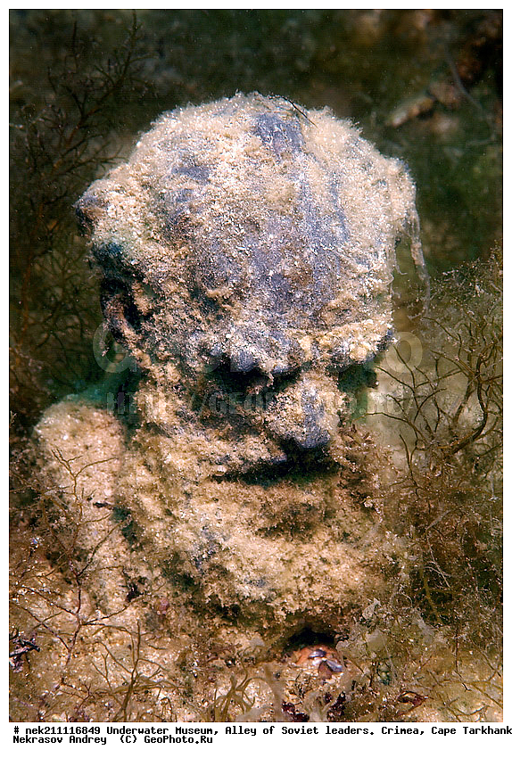 ����, ���� ������. ����, ����, ���, ��� ���������� �������, ����, ����, ��������� ���, ��������� �����, �������, �������, ��������, �������, ��������, �������, ������� ����, ������ ����, ������, ������ ����, ���� ������, ���, ����, �, ���, ����, ������, ������, �����, ���������, ������, ������, �������, ����, �����, �����, ������, �������, ���, ���, ��������, ����� ����, �����������, ���������������, �������������, �������������, ��������, ������������, �������, ����, �������, ��������, ��������, ��������, ����, ����������, ����������, ��������, ��������������, ��������������, ���������, ����, �������, �������, �������, �����, ��� ���������, ��, ���������, ��������� ����, ���������, �����, ��������, ���������, �������, ��������, ��������, ��������, ����������, ���������� ��� ����, ���, ���������, ��������� ����������, ���������, ���������, ���������, ��������� ����������, ���������, ��������� �����, ��������� �����, ��� �����, ��������, ����������, ������������, ����������, ������������, ����������, ��������������, ������������, ������������, ������������