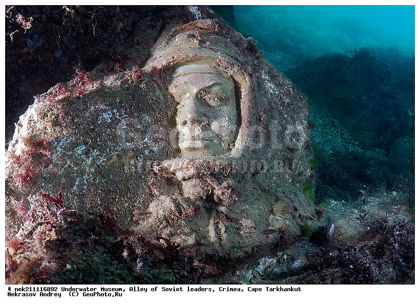 ����, ���� ������. ����, �������, ��������, ��������, ����, ��������� ���, ��������� �����, �������, ������� ����, ������ ����, ������, ������ ����, ����, ���� �������, ����, ����, ���� ������, ���, ���������, ���������, ����������, ����, �, ���, ����, ������, ������, �����, ���������, ������, ������, �������, ������, �������, ���, ���, ��������, ����� ����, �����������, ���������������, �������������, �������������, ��������, ������������, �������, ����, ���������, ����������, ����������, ��������, ��������, ��������, ����, ��������, ��������������, ��������������, ���������, ����, �������, �������, �������, �����, ��� ���������, ��, ���������, ��������� ����, ���������, �����, ��������, ���������, �������, ������, �������, ����������, ���������� ��� ����, ���, ���������, ��������� ����������, ���������, ���������, ���������, ��������� ����������, ���������, ��������� �����, ��������� �����, ��� �����, ��������, ����������, ������������, ����������, ������������, ����������, ��������������, ������������, ������������, ������������